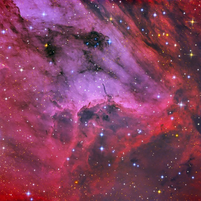 PelicanIC5067_hallas.jpg (464 KB)