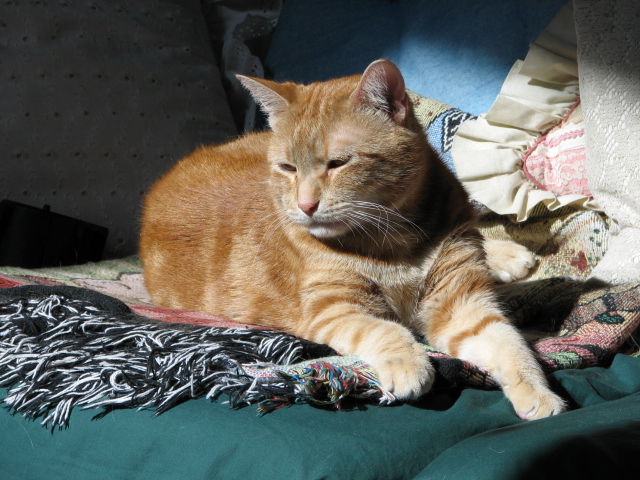 IMG_0275.JPG (206 KB)