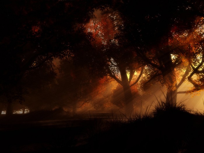 blackorangeforest.jpg (845 KB)