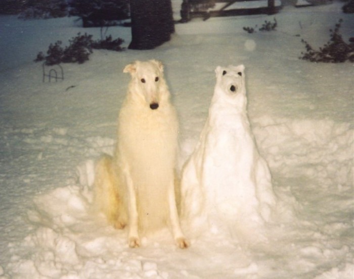 friends.jpg (76 KB)