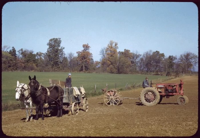 Cush22412_IN_Farm_Scene.jpg (86 KB)