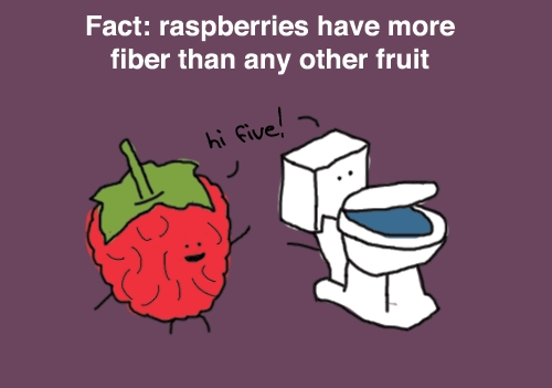 raspberry-fiber1.jpg (53 KB)