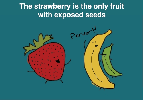 strawberry-seeds.jpg (62 KB)