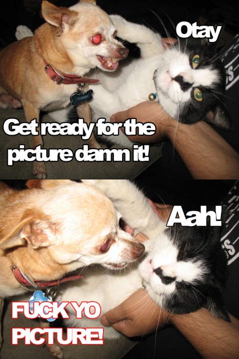 Picture.jpg (510 KB)