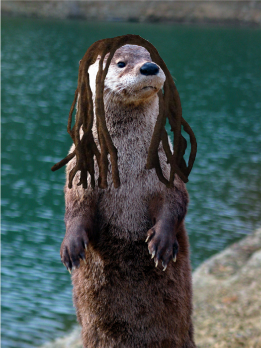 otter1.png (1 MB)