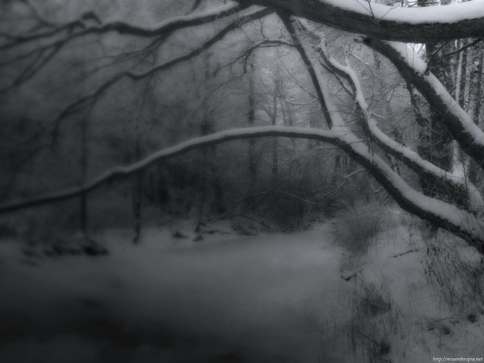 deadwinter.jpg (737 KB)