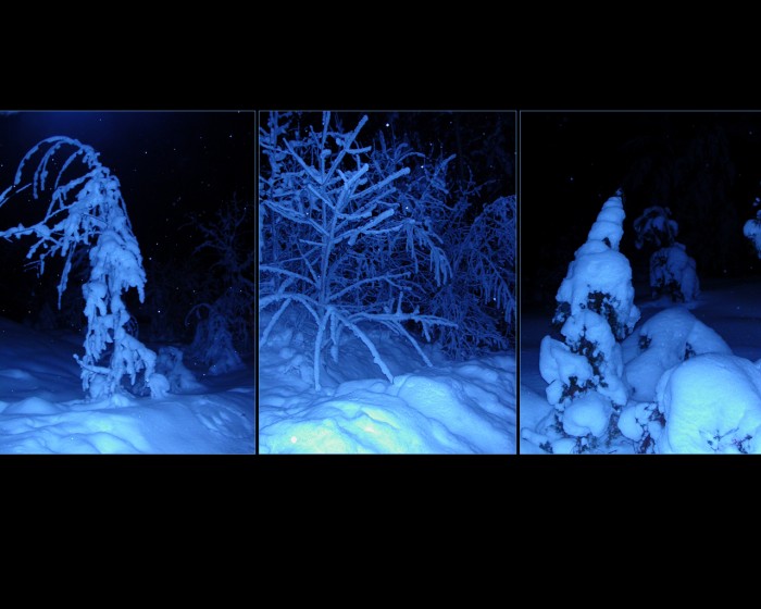 winter-christmas-wallpapers-67.jpg (768 KB)