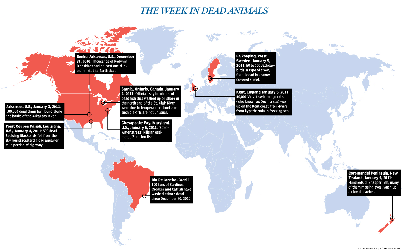 Dead Animal Chart.pdf This week in dead animals - MyConfinedSpace