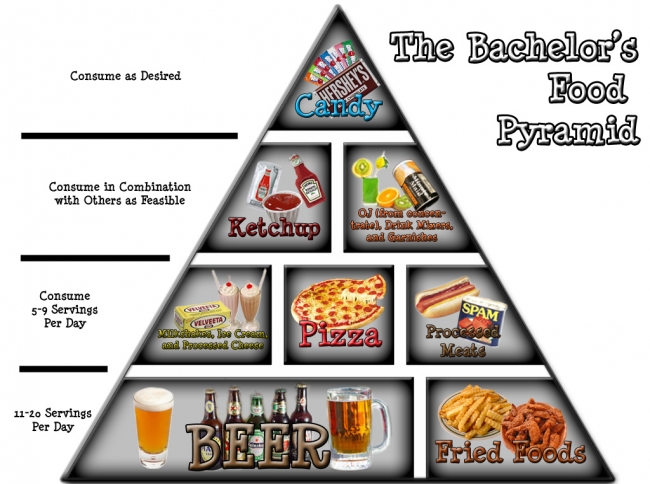 BachelorsFoodPyramid.jpg (201 KB)