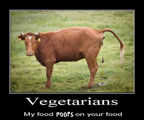 Vegetarians.png (245 KB)