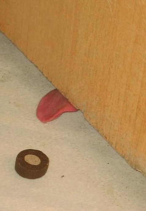 doorlick.jpg (146 KB)