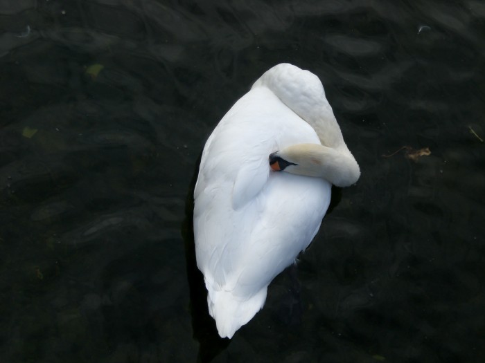 CIMG0139.JPG (771 KB)