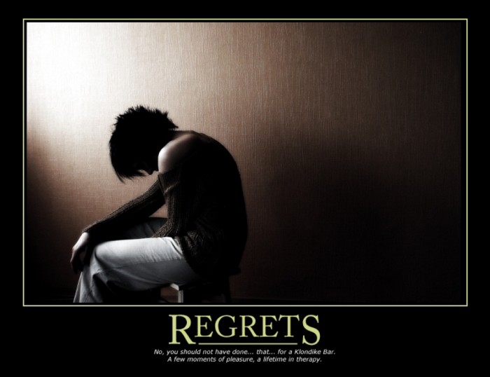Regrets.jpg (358 KB)
