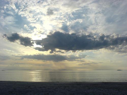 DSC00165.JPG (313 KB)