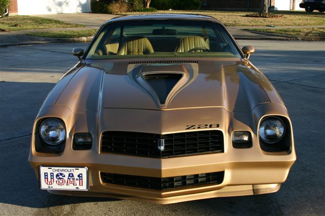 IMG_2871.JPG (62 KB)