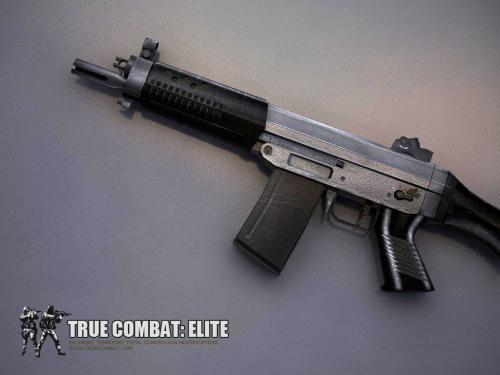 Weapons_True_Combat_Elite.jpg (142 KB)