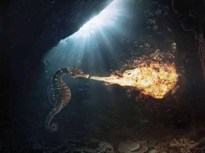 0c78372c2df22d5ff738cf699c389d8e.jpg (673 KB)