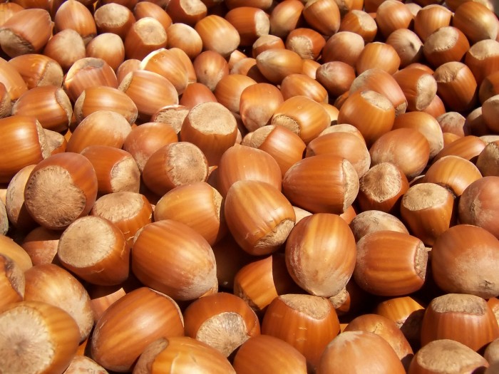Hazelnuts.jpg (447 KB)