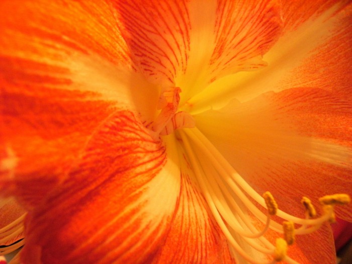 o587348.jpg (440 KB)