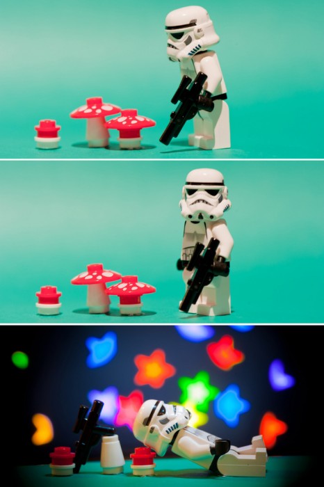 shrooms.jpg (165 KB)