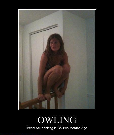 owling.jpg (19 KB)