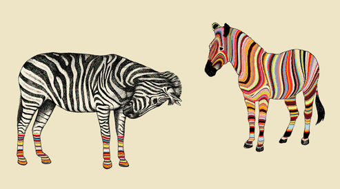 Zebras.gif (289 KB)