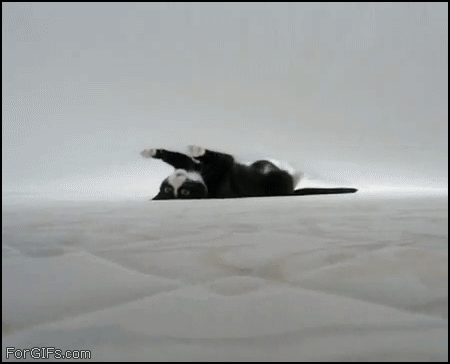 6860_368d.gif (1 MB)