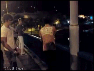 1653_2df1.gif (1 MB)