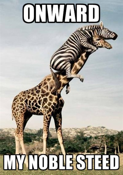 3511_6e69.jpeg (118 KB)