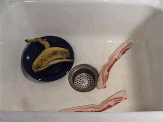 Sinkbacon.gif (1 MB)