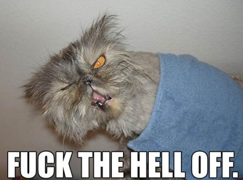 im2age.php.jpg (64 KB)