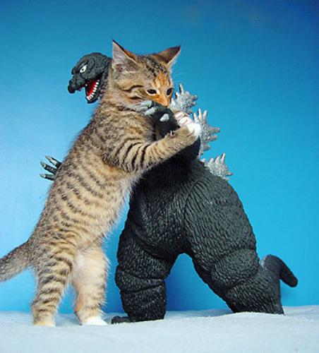 Cat vs Godzilla.jpg (63 KB)
