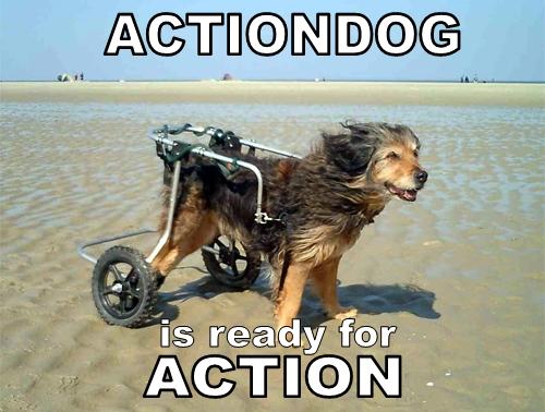 Actiondog.jpg (153 KB)