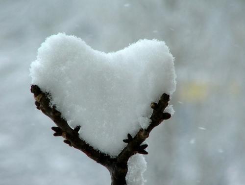 snow_heart.jpg (43 KB)