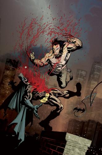 Batman_VS_Wolverine_color_by_WyA.jpg (179 KB)