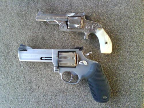 DSC00043.JPG (381 KB)