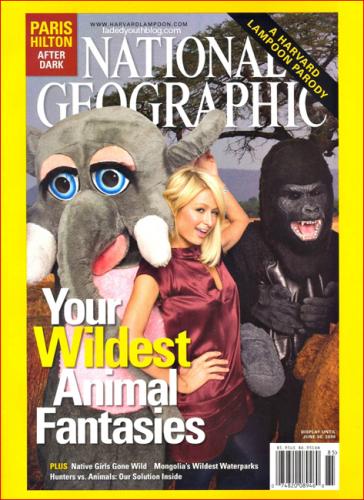 paris-hilton-national-geo-harvard-magazine.jpg (337 KB)