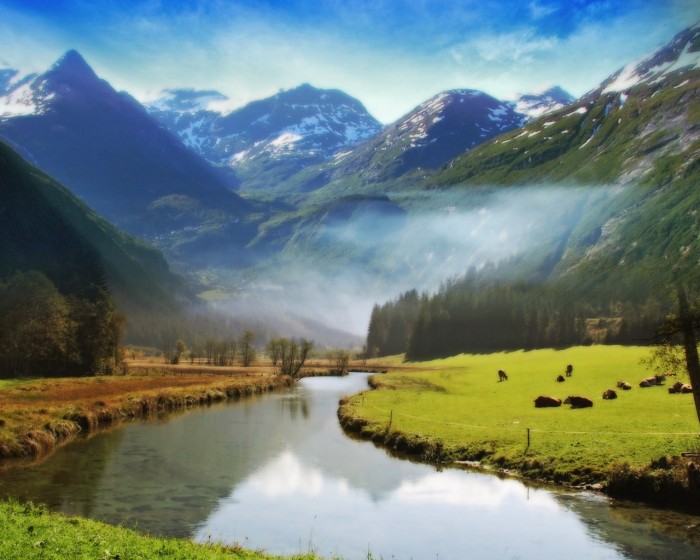 40_size_1280x1024_40.jpg (294 KB)