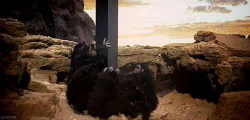2001apes-thumb-510x245-39088.gif (497 KB)