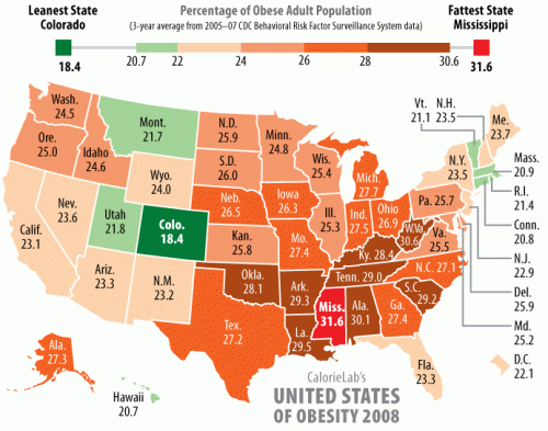 fattest-states-2008-big.gif (51 KB)