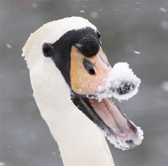 smile3.jpg (26 KB)