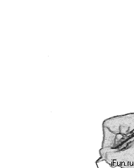 Gifhands.gif (364 KB)