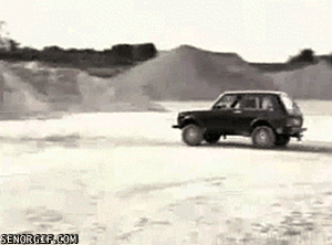 9891_7e13.gif (1 MB)