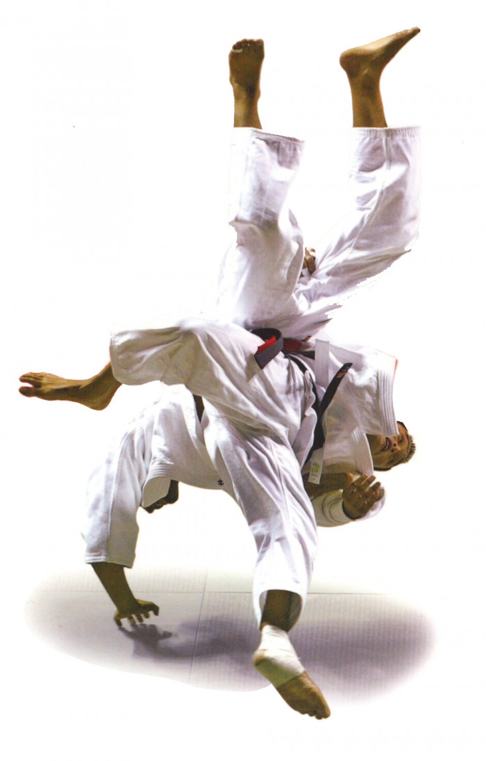 Trowing-in-Judo.jpg (590 KB)