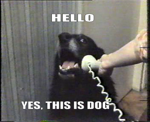 hello-yes-this-is-dog-1318688317p.png (231 KB)