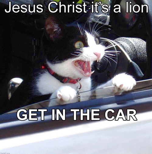 jesus_christ_its_a_lion.jpg (92 KB)