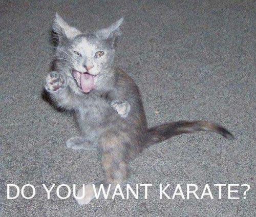 karate.jpg (63 KB)