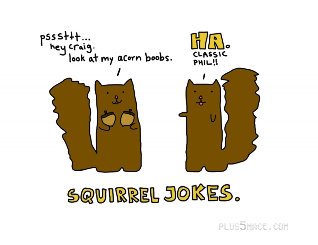 Squirrel jokes | MyConfinedSpace