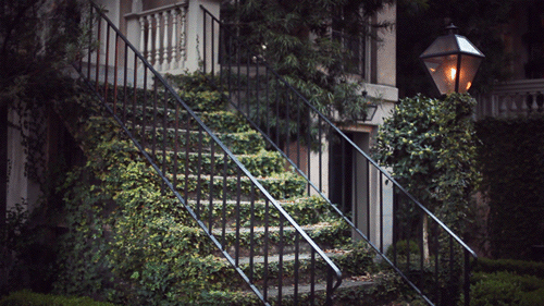 jamie-beck-184.gif (257 KB)