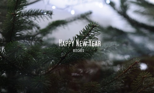 2049_707e.jpeg (40 KB)